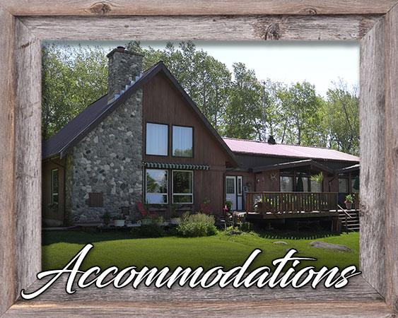 Accommodations at Davis Point Lodge and Outfitting Ltd.