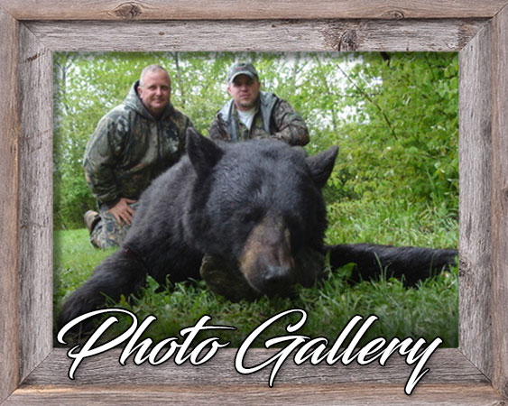Davis Point Lodge and Outfitting Ltd. Photo Galleries