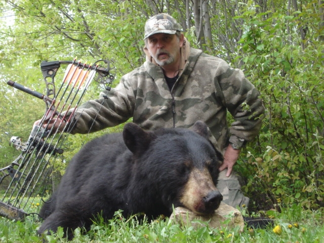 Archery Bear Hunts Manitoba