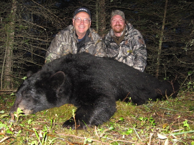 A big black bear harvested at Davis Point Lodge & Outfitting