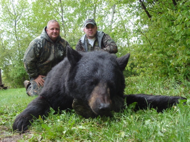 Spring Bear Hunts Manitoba