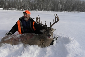 Whitetail Deer Photos